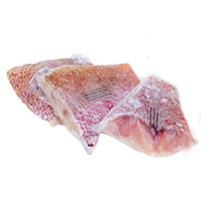 Red Snapper Fillet 1Kg