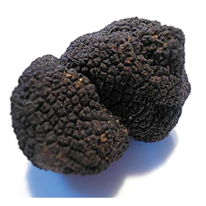 China Black Truffle 1Kg