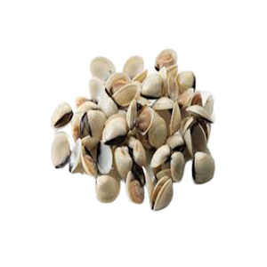 Boiled Whole Shell White Clam, 1Kg