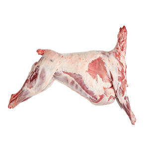Lamb Carcass